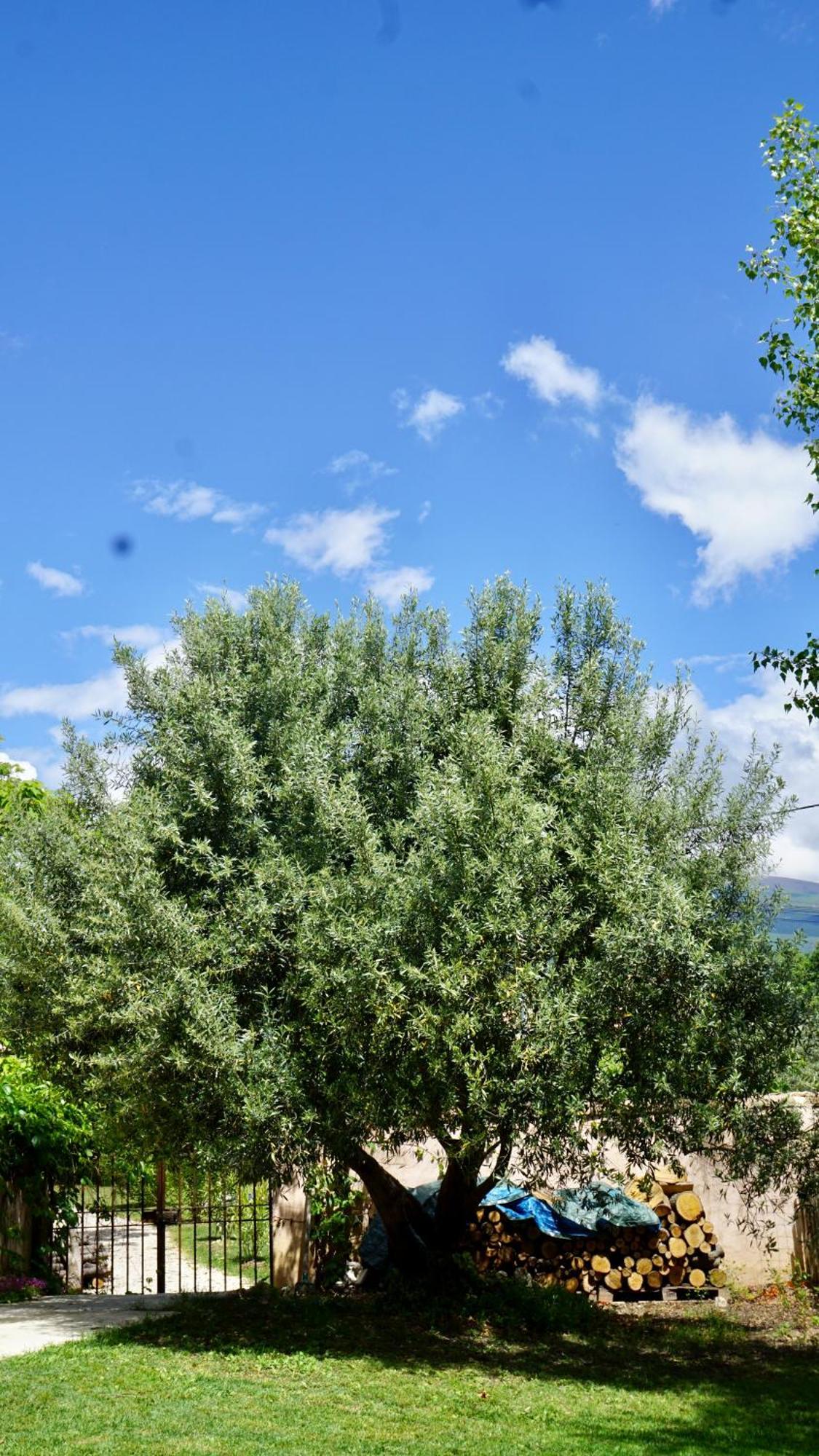 La Belle Histoire Gite Luberon ベドアン エクステリア 写真
