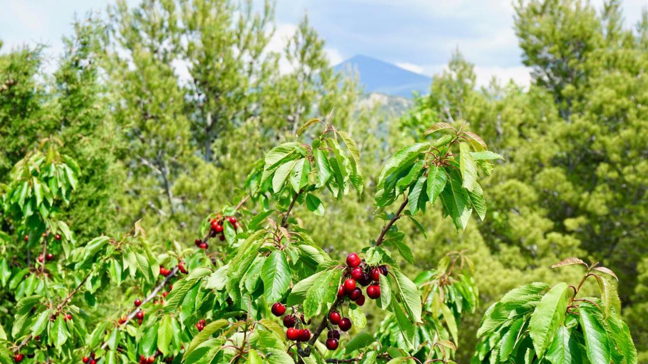 La Belle Histoire Gite Luberon ベドアン エクステリア 写真